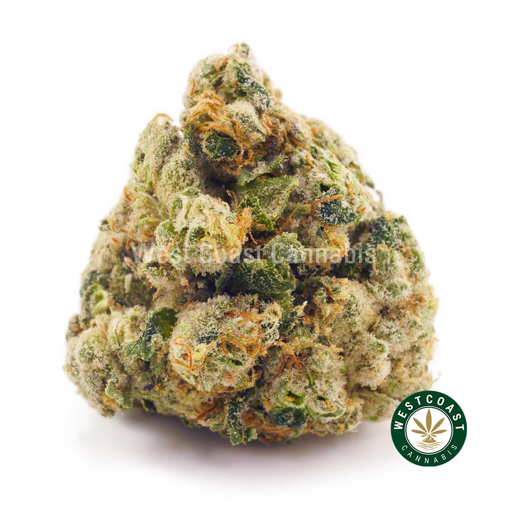Buy weed White Lightning AAAA at wccannabis weed dispensary & online pot shop