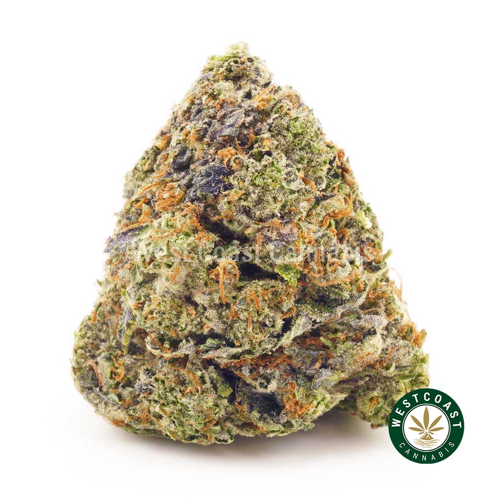 Buy weed Pink Panther AAAA at wccannabis weed dispensary & online pot shop