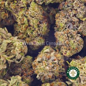 Buy weed Pink Panther AAAA at wccannabis weed dispensary & online pot shop