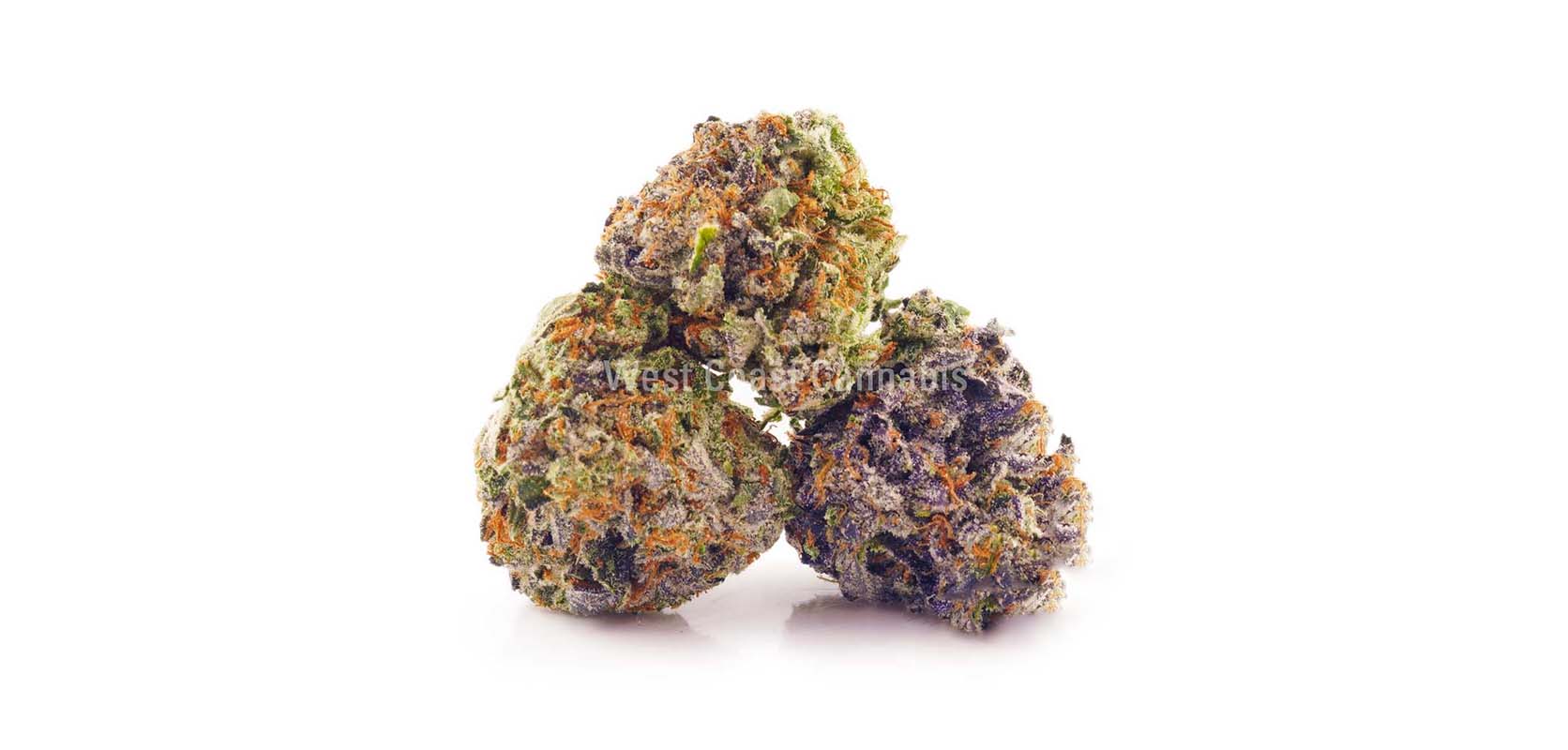 Pink Man Goo budget bud and cheap weed online Canada from West Coast Cannabis online dispensary for mail order marijuana Canada. buy weed.
