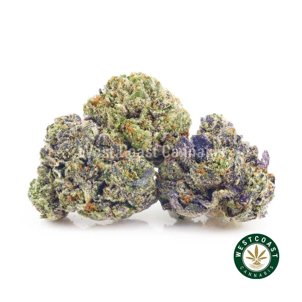 Buy weed Purple Death Bubba AAAA (Popcorn Nugs) at wccannabis weed dispensary & online pot shop