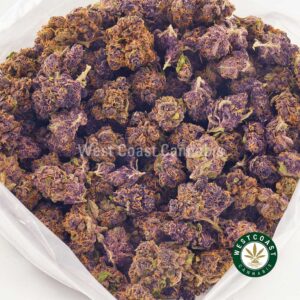 Buy weed Purple Tropicana AAAA (Popcorn Nugs) at wccannabis weed dispensary & online pot shop