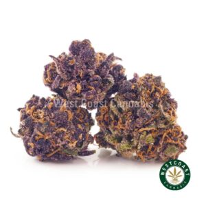 Buy weed Purple Tropicana AAAA (Popcorn Nugs) at wccannabis weed dispensary & online pot shop