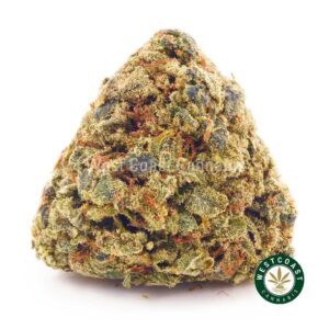 Buy weed Blue Amnesia AA at wccannabis weed dispensary & online pot shop