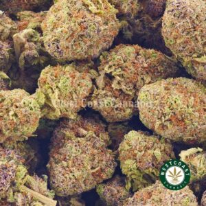 Buy weed Gods Green Crack AA at wccannabis weed dispensary & online pot shop