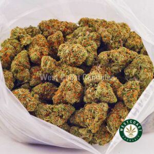 Buy weed Skunk Dawg AA at wccannabis weed dispensary & online pot shop