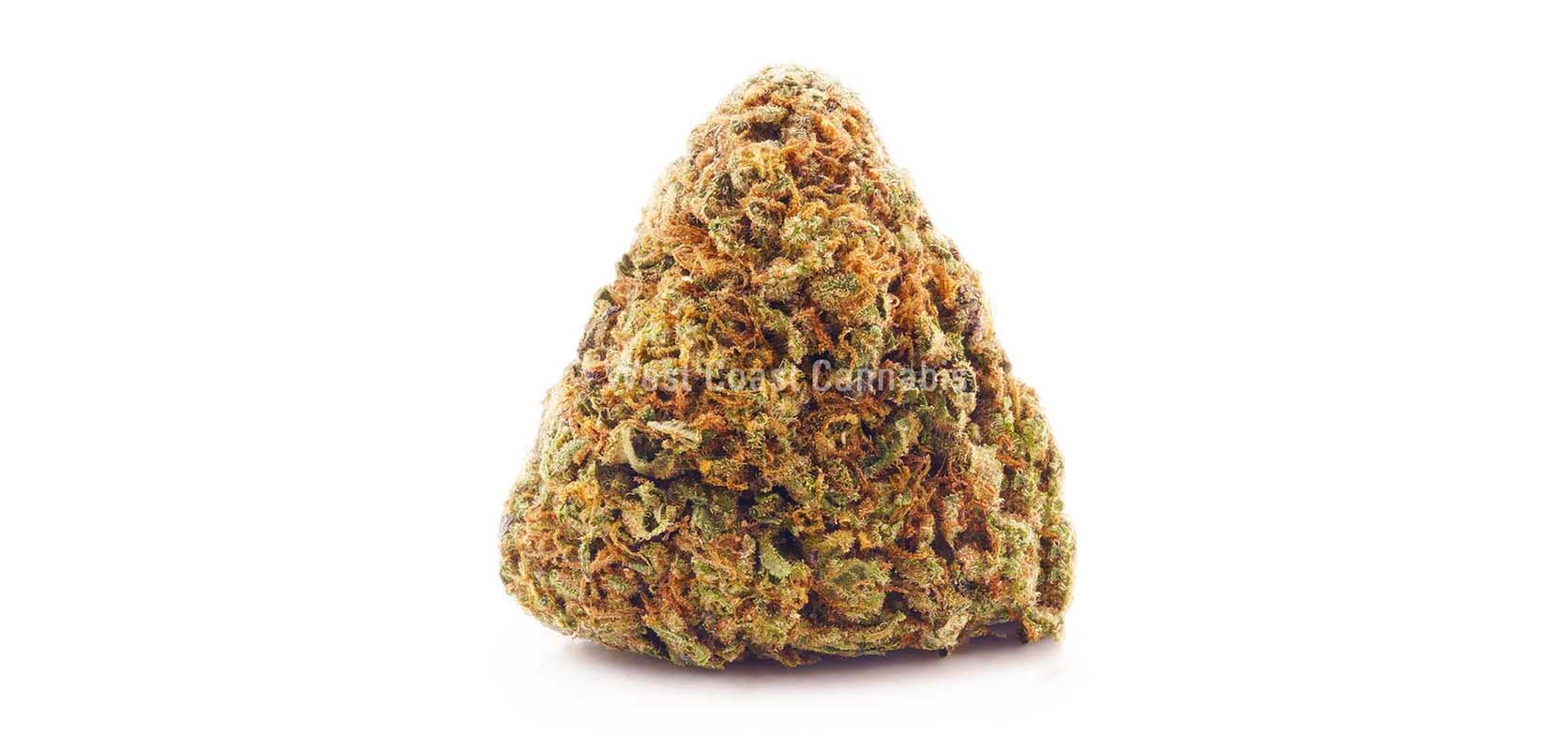 Sundae Driver weed online Canada. Buy weed online, edibles online, and budget bud dispensary weed.