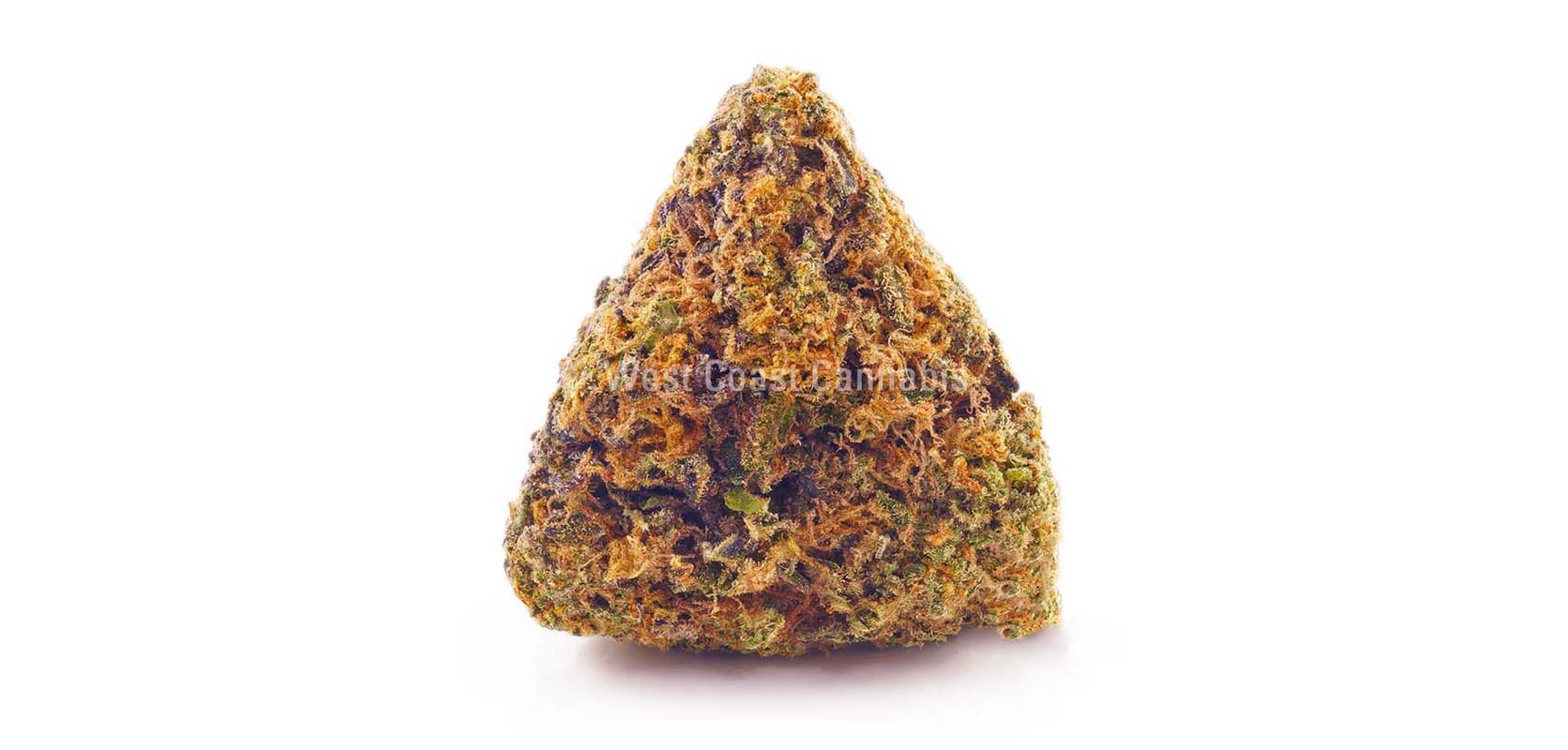 Gelato weed online Canada from West Coast Cannabis mail order marijuana Canada for dispensary weed and edibles online.