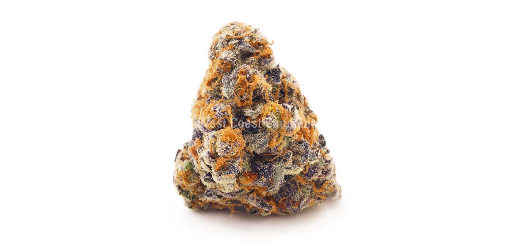 Laughing Buddha value buds and cheapweed from West Coast Cannabis online dispensary Canada.