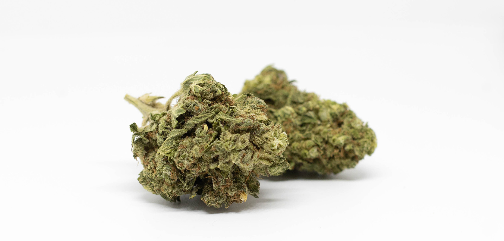 OG Kush strain value buds for sale online in Canada at wccannabis mail order marijuana online dispensary. Cheapweed dispensary. 