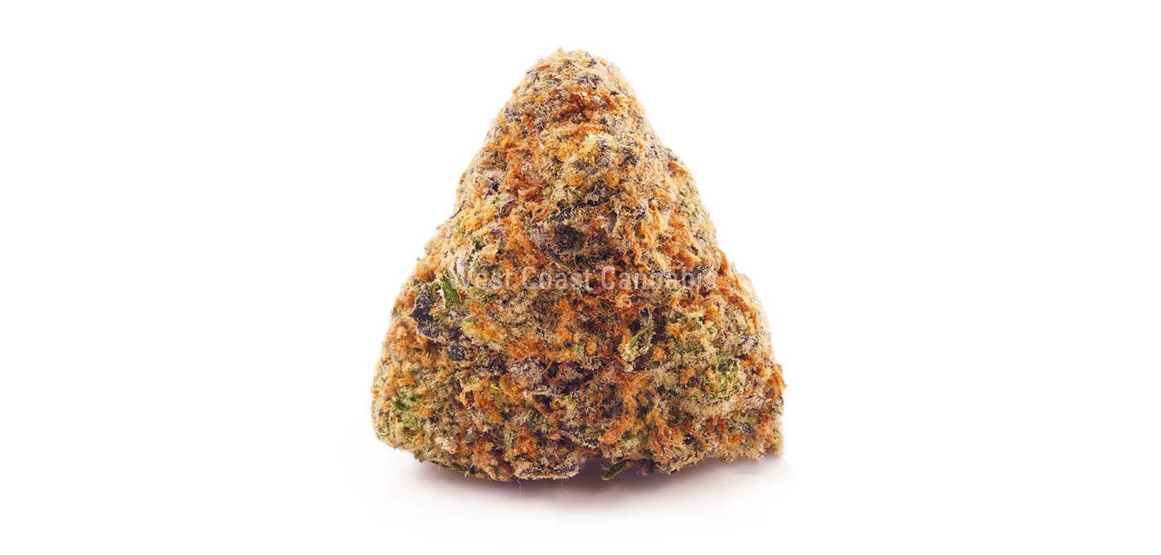 Slurricane value buds for sale from weed dispensary for BC cannabis. cannabis stores. weed delivery canada. weed online. dispenseries.