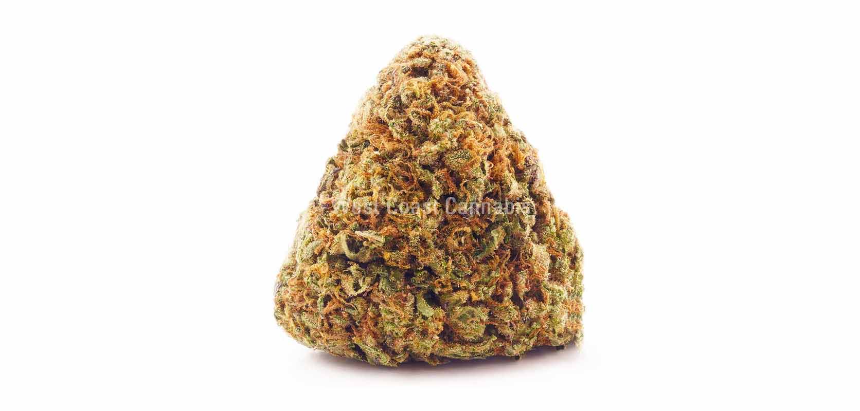 Sundae Driver value buds for sale online at wccannabis online dispensary Canada. 