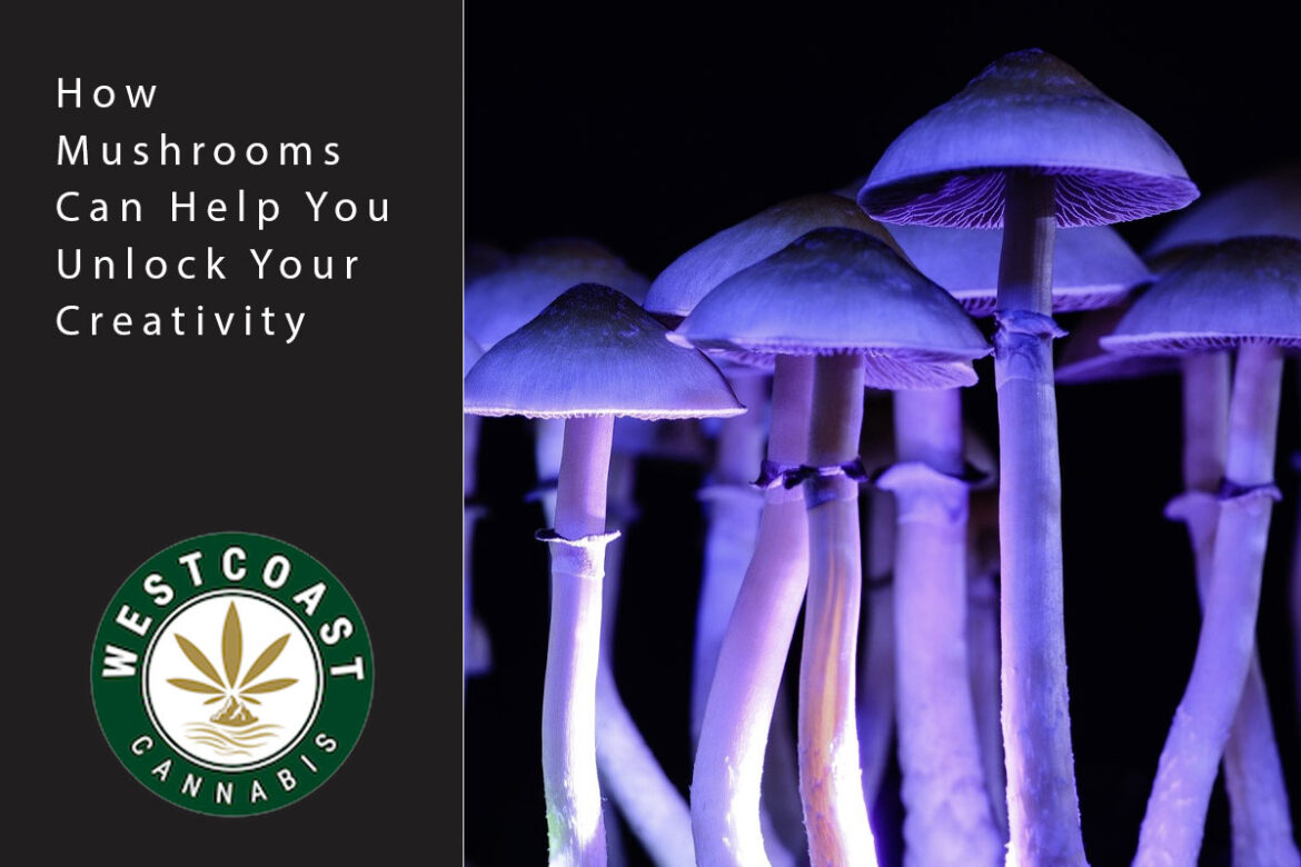 wcc blog mushrooms