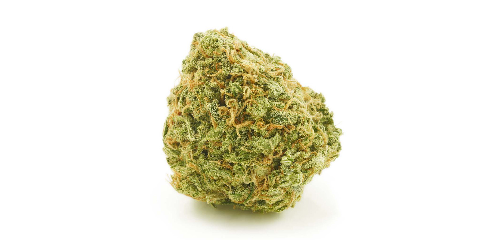 Potent White Widow value buds high THC weed strain. Online dispensary Canada with free shipping. Mail order marijuana dispensary.