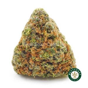 Buy weed Cali Orange AAA at wccannabis weed dispensary & online pot shop