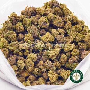Buy weed Gorilla Glue #4 AA (Popcorn Nugs) at wccannabis weed dispensary & online pot shop