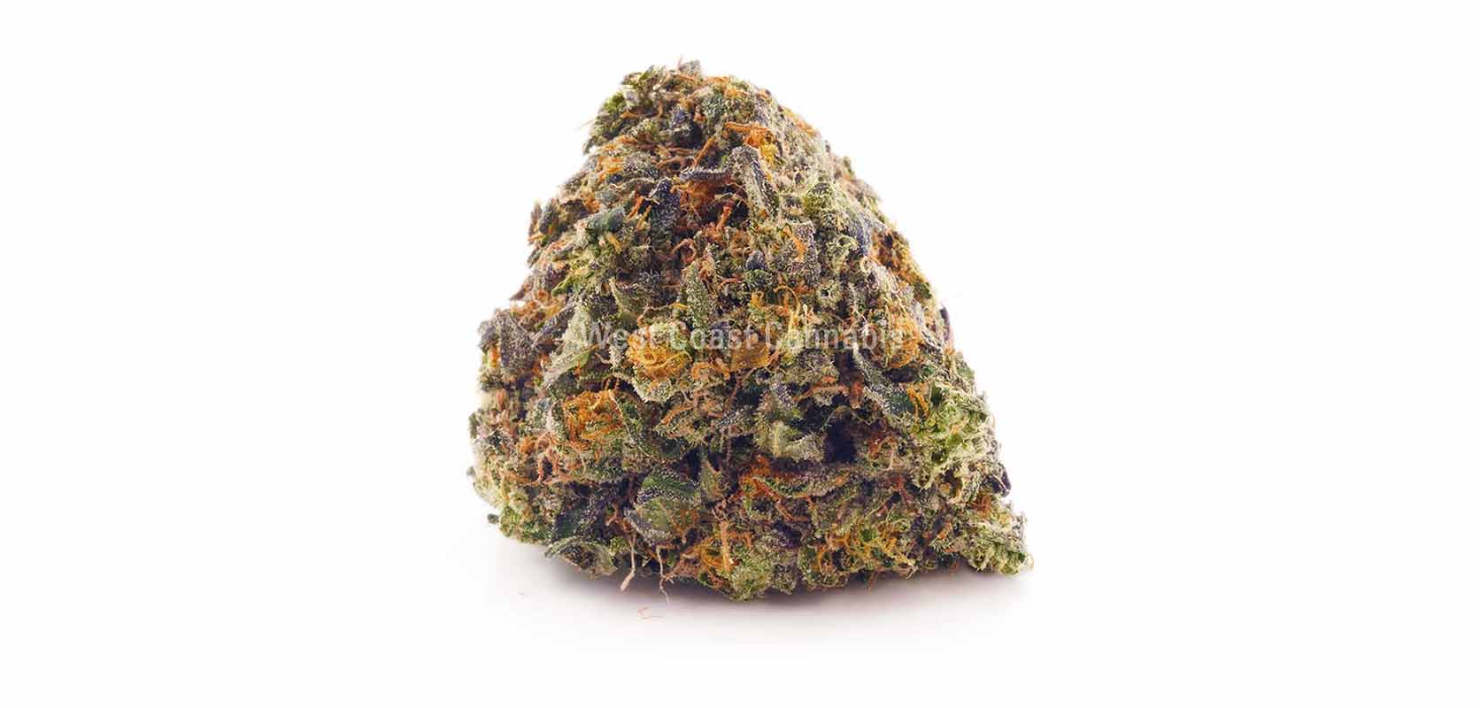 Master Jedi weed online Canada. Weed delivery Nunavut. Buy weed online.