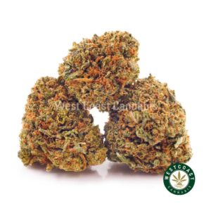Buy weed Tangerine Haze AA (Popcorn Nugs) at wccannabis weed dispensary & online pot shop