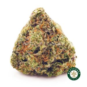 Buy weed Purple Incredible Hulk AAAA at wccannabis weed dispensary & online pot shop