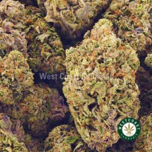 Buy weed Purple Incredible Hulk AAAA at wccannabis weed dispensary & online pot shop