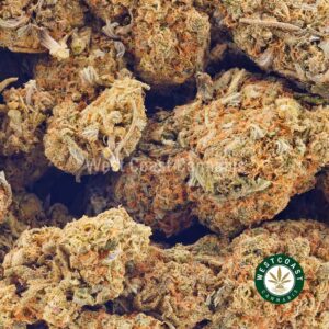 Buy weed Cookies and Cream AA at wccannabis weed dispensary & online pot shop