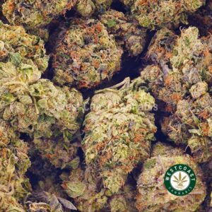 Buy weed Ghost Pink AAAA at wccannabis weed dispensary & online pot shop