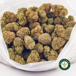 Buy weed Amnesia AA at wccannabis weed dispensary & online pot shop