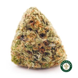 Buy weed Tropicana Punch AAA at wccannabis weed dispensary & online pot shop