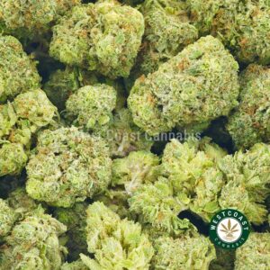 Buy weed Sour Tangie AAA at wccannabis weed dispensary & online pot shop