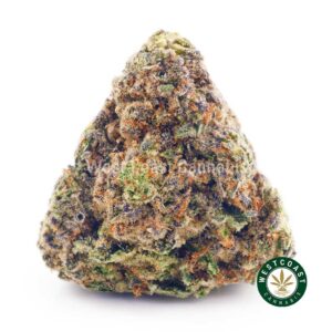 Buy weed White Russian AAAA at wccannabis weed dispensary & online pot shop