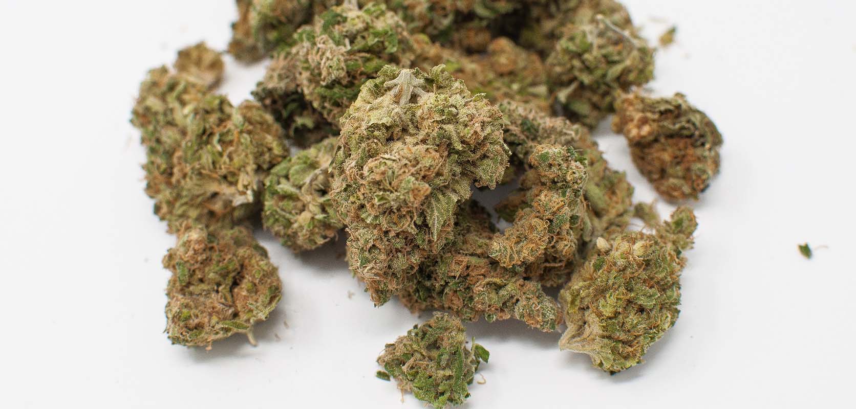 budget buds for sale online from an online dispensary in Toronto for mail order marijuana, shatter, vape pens, and edibles online.