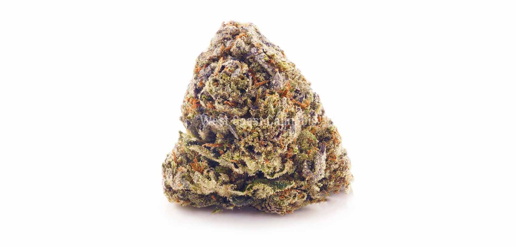 cheap canna budget buds from an online dispensary in Toronto for mail order marijuana, value buds, gummys, and THC edibles.