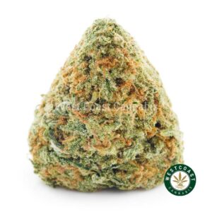 Buy weed Blueberry Dream AAA at wccannabis weed dispensary & online pot shop