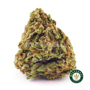Buy weed Orange Kush AA at wccannabis weed dispensary & online pot shop