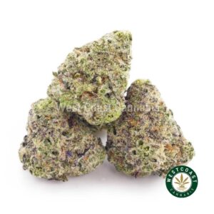 Buy weed Donkey Breath AAAA (Popcorn Nugs) at wccannabis weed dispensary & online pot shop