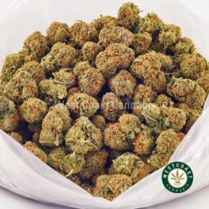 Buy weed Biscotti AAAA (Popcorn Nugs) at wccannabis weed dispensary & online pot shop