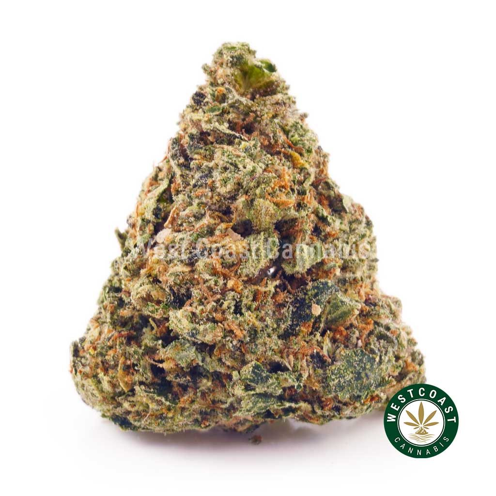 Buy weed Cherry Pie AA at wccannabis weed dispensary & online pot shop