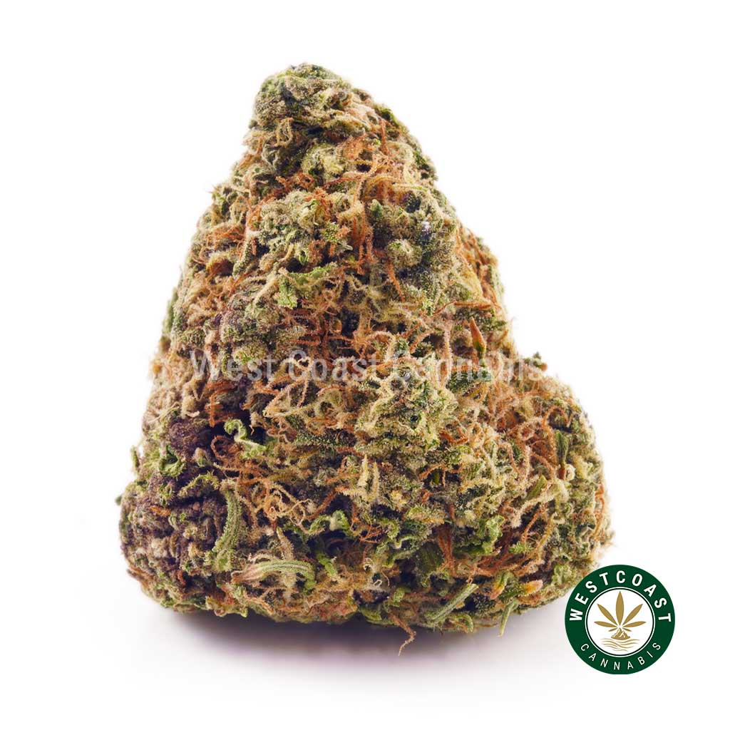 Buy weed Sour Diesel AA at wccannabis weed dispensary & online pot shop
