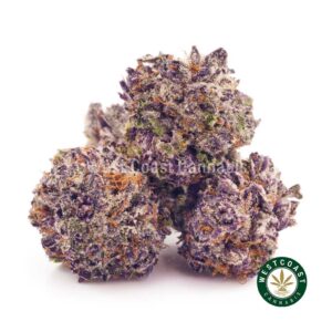 Buy weed Purple Trainwreck AAAA (Popcorn Nugs) at wccannabis weed dispensary & online pot shop