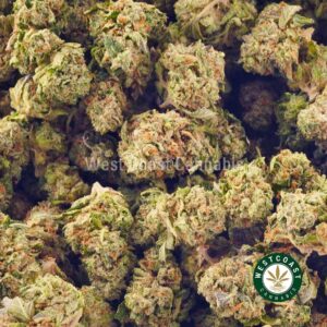 Buy weed Green Goblin AA at wccannabis weed dispensary & online pot shop