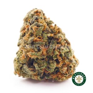 Buy weed Pineapple Amnesia AA at wccannabis weed dispensary & online pot shop