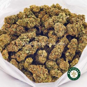 Buy weed Pineapple Amnesia AA at wccannabis weed dispensary & online pot shop