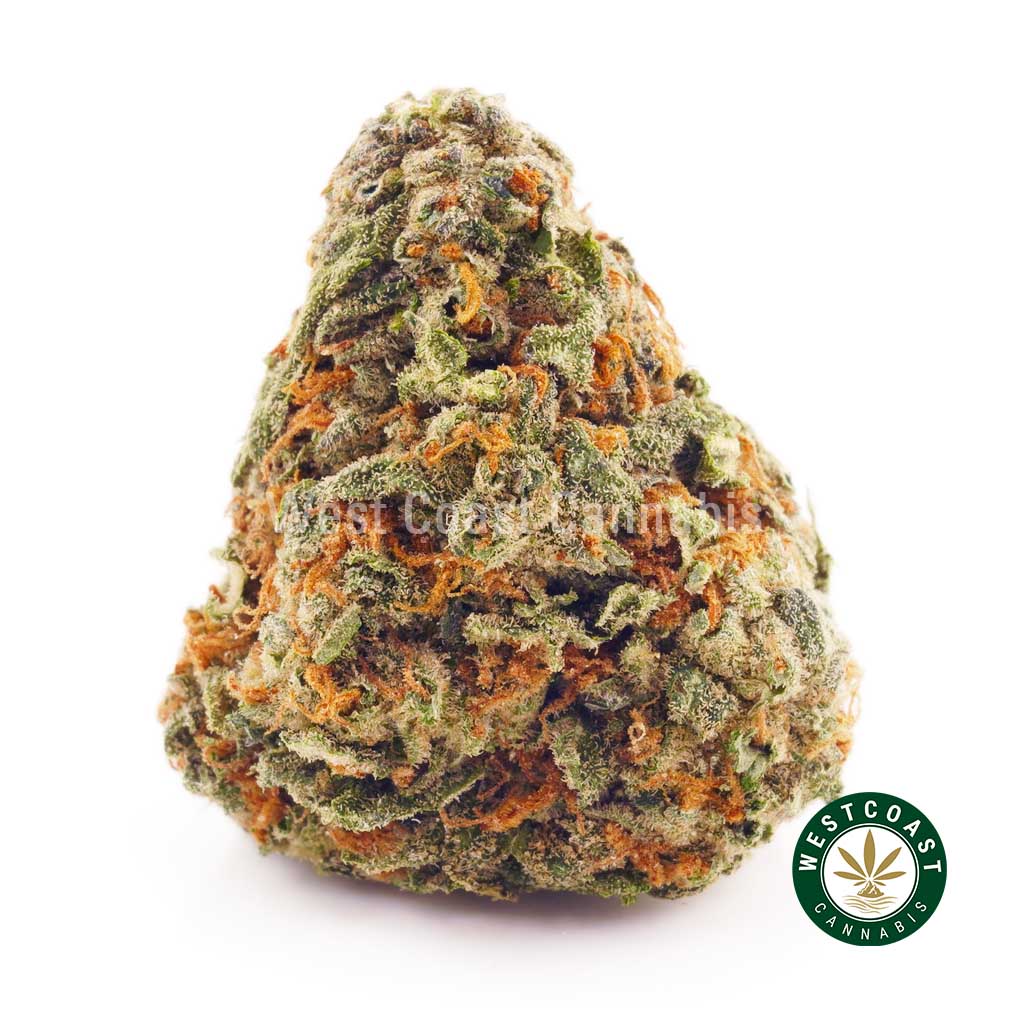 Buy weed Maui Wowie AA at wccannabis weed dispensary & online pot shop