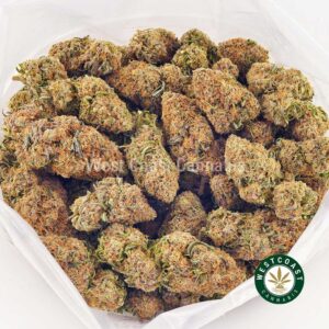 Buy weed Rainbow Haze AAA at wccannabis weed dispensary & online pot shop