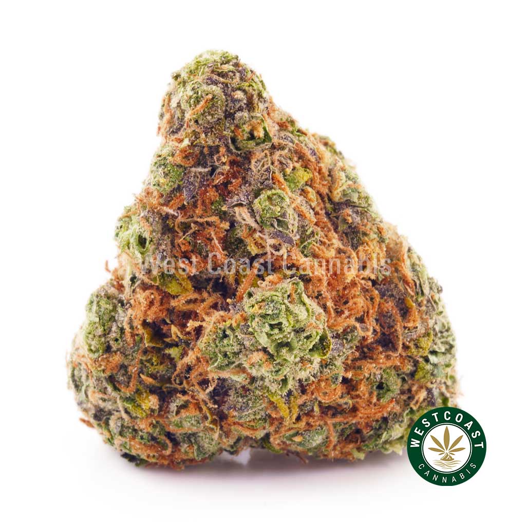 Buy weed Durban Poison AAA at wccannabis weed dispensary & online pot shop