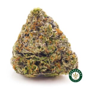 Buy weed Blueberry Parfait AAAA at wccannabis weed dispensary & online pot shop