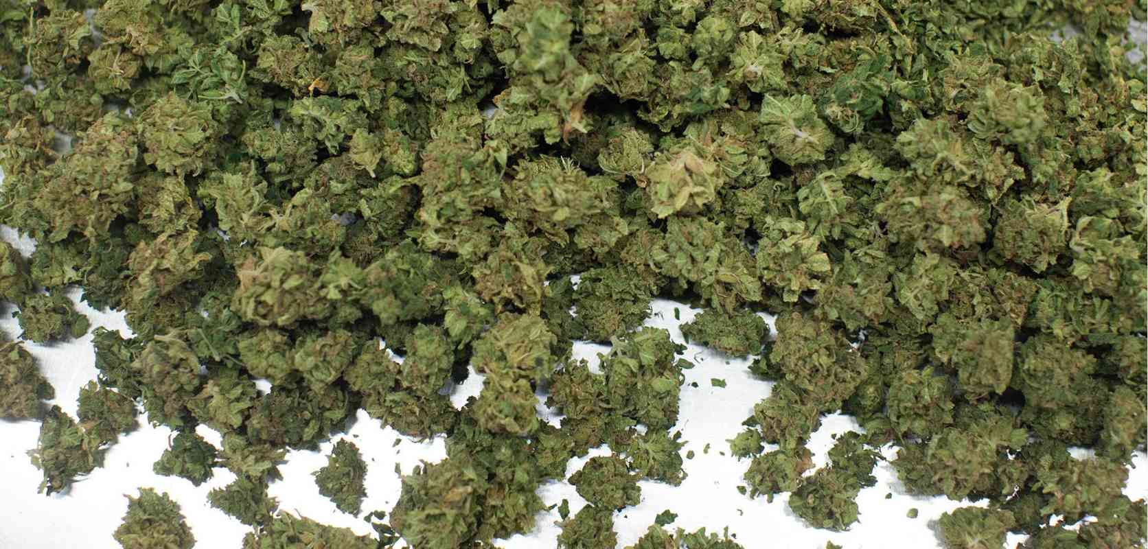The concept of bulk weed is the same. Without a doubt, purchasing things in bulk can help you cut costs long-term. 