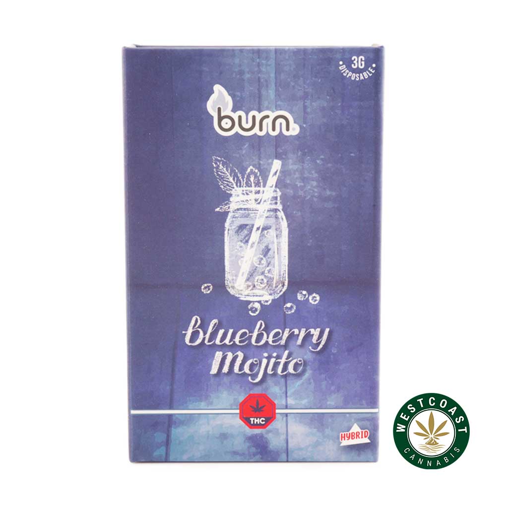 Buy Burn Extracts - Blueberry Mojito 3ML Mega Sized at Wccannabis Online Shop