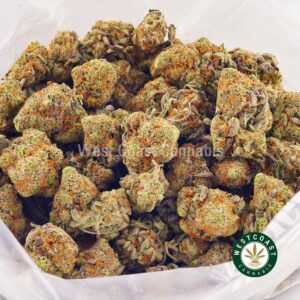 Buy weed Blueberry Haze AAA at wccannabis weed dispensary & online pot shop
