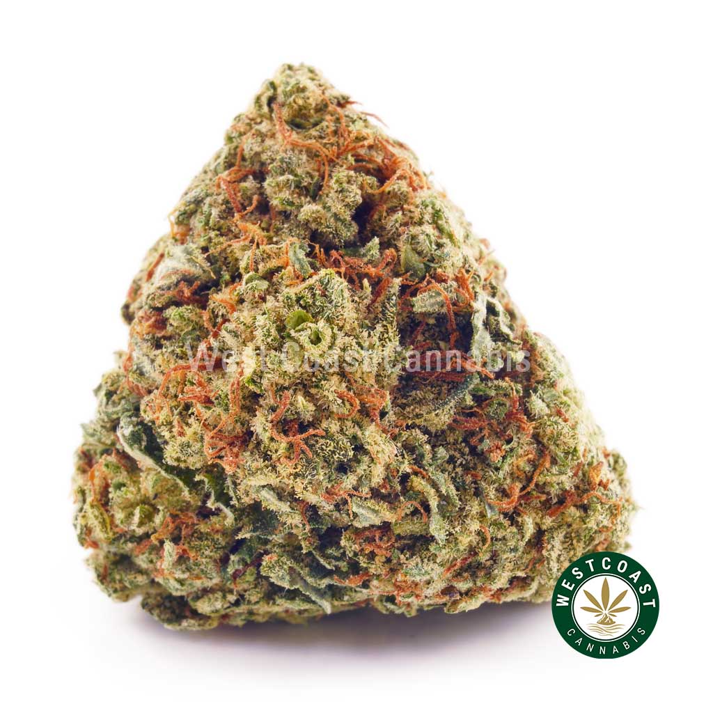 Buy weed Black Cherry Punch AA at wccannabis weed dispensary & online pot shop
